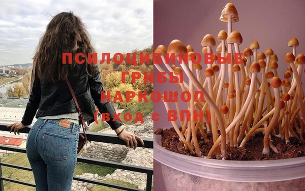 марки nbome Балабаново