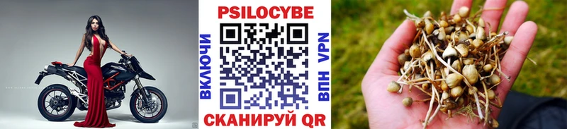 Псилоцибиновые грибы GOLDEN TEACHER  Сретенск 
